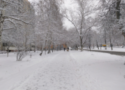 В воскресенье в Саратовской области ожидается до 7 градусов мороза